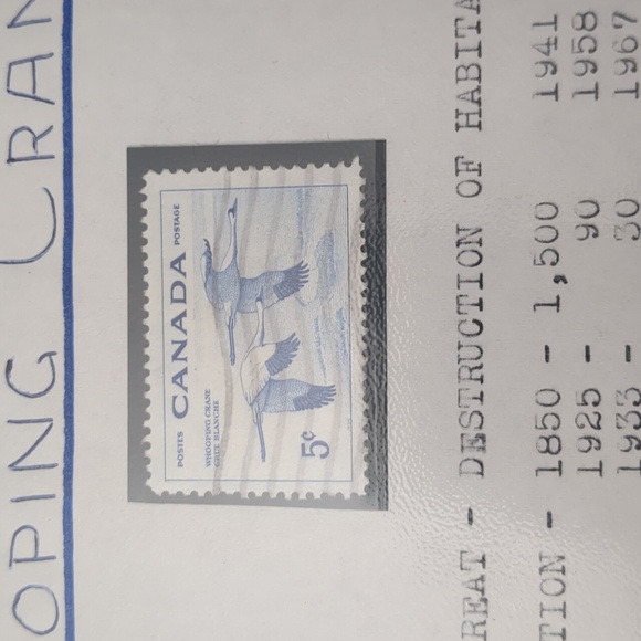 Endangered Birds Stamp Collection Sheet - Picture 2 of 8